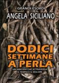 Dodici settimane a Perla. Un'amicizia che attraversa il tempo e il dolore