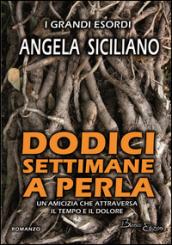 Dodici settimane a Perla. Un'amicizia che attraversa il tempo e il dolore