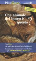 Animali del bosco