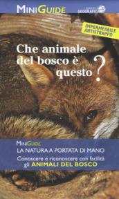 Animali del bosco