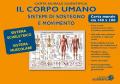 Corpo umano. Muscoli e scheletro. Carta murale