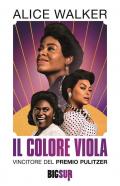 Il colore viola