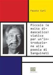 Piccolo (e molto didascalico) viatico per un'introduzione alla poesia di Sanguinetti