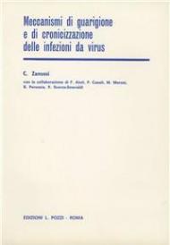 Meccanismi di guarigione e di cronicizzazione delle infezioni da virus