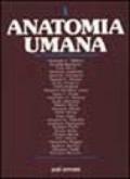 Anatomia umana. Tavole sinottiche