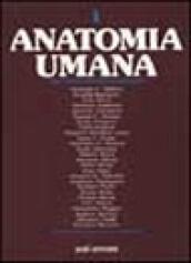 Anatomia umana. Tavole sinottiche