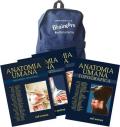 Anatomy bag: Trattato di anatomia umana-Anatomia umana topografica