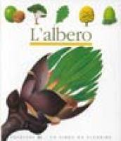 L'albero