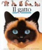 Il gatto