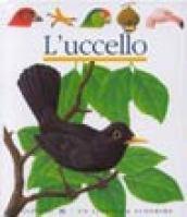 L'uccello