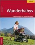 Wanderbabys 61 wanderungen in Südtirol mit dem kinderwagen