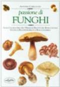Passione di funghi