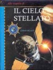 Il cielo stellato