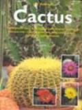 Cactus. Ediz. illustrata