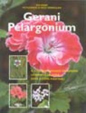 Gerani Pelargonium. Ediz. illustrata