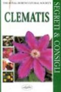 Clematis