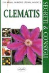 Clematis