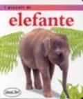 I piccoli di... Elefante