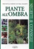 Piante all'ombra