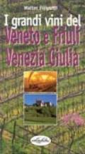 I grandi vini del Veneto, Friuli, Venezia Giulia