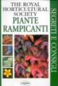 Piante rampicanti