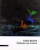 Carla Rigato. Colloquio con il colore