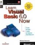 Learn Microsoft Visual Basic 6.0 Now