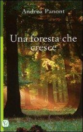 Una foresta che cresce