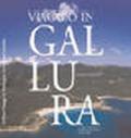 Viaggio in Gallura. Ediz. italiana e inglese