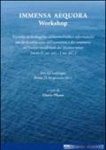 Immensa aequora. Ricerche archeologiche, archeometriche e informatiche per la ricostruzione dell'economia e dei commerci nel bacino occidentale... Workshop