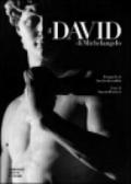Il David di Michelangelo. Ediz. illustrata