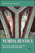 Numina rustica. Santi nella tradizione popolare della terra delle montagne