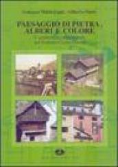 Paesaggio di pietra, alberi e colore. L'architettura tradizionale nel Verbano-Cusio-Ossola