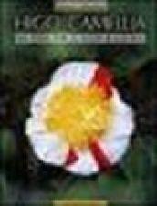 Higo camellia. Un fiore per il terzo millennio. Ediz. italiana e inglese
