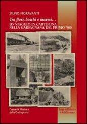 Tra i fiori boschi e marmi. Un viaggio in cartolina nella Garfagnana del primo '900