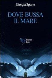 Dove bussa il mare