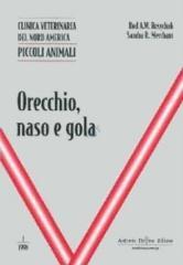 Orecchio, naso e gola