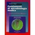 Fondamenti di microbiologia medica