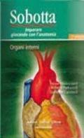 Sobotta. Giocando con l'anatomia. Organi interni