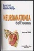 Neuroanatomia dell'uomo