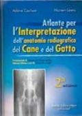 Atlante per l'interpretazione dell'anatomia radiografica