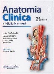 Anatomia clinica