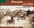 Fiesole nell'800. Paesaggio e cultura nelle fotografie degli archivi Alinari. Ediz. illustrata