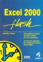 Excel 2000 flash