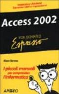 Access 2002