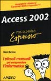 Access 2002