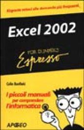 Excel 2002