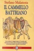 Il cammello battriano