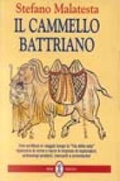 Il cammello battriano