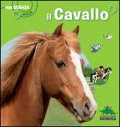 Il cavallo